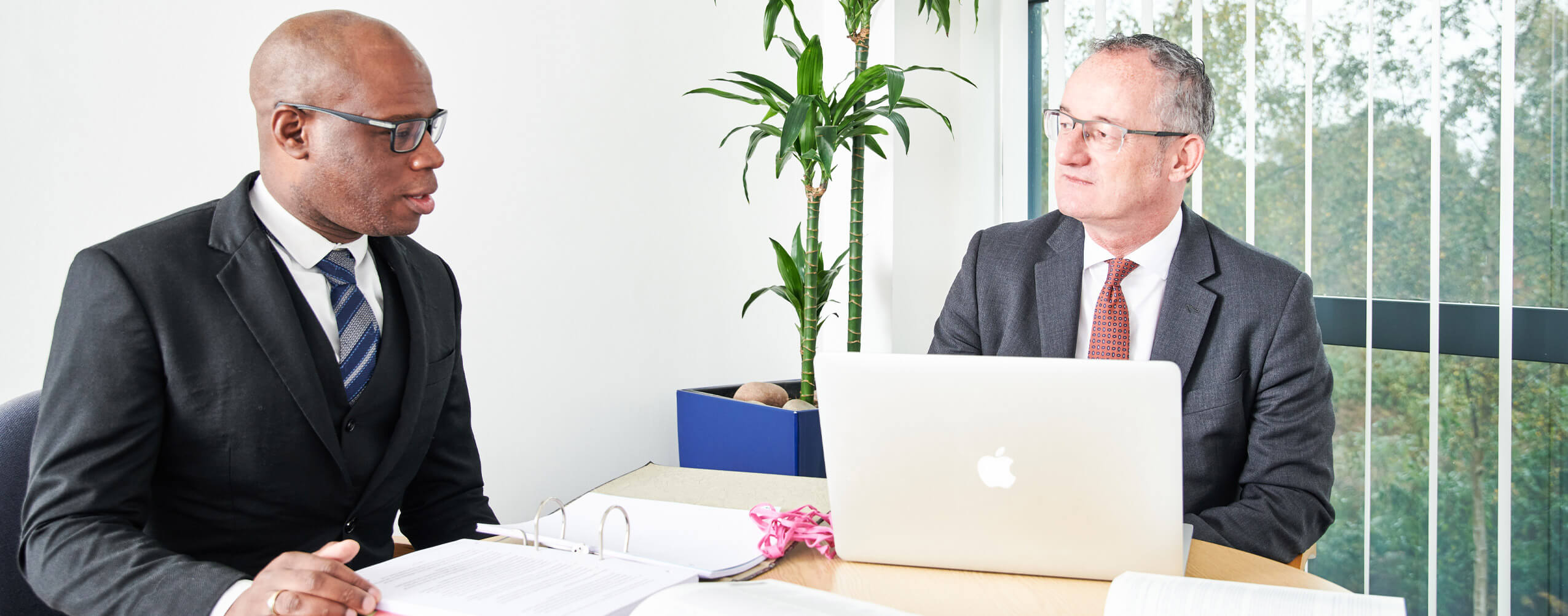family law suffolk